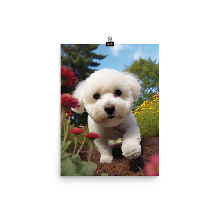 Bichon Frise in a Garden Photo paper poster - PosterfyAI.com