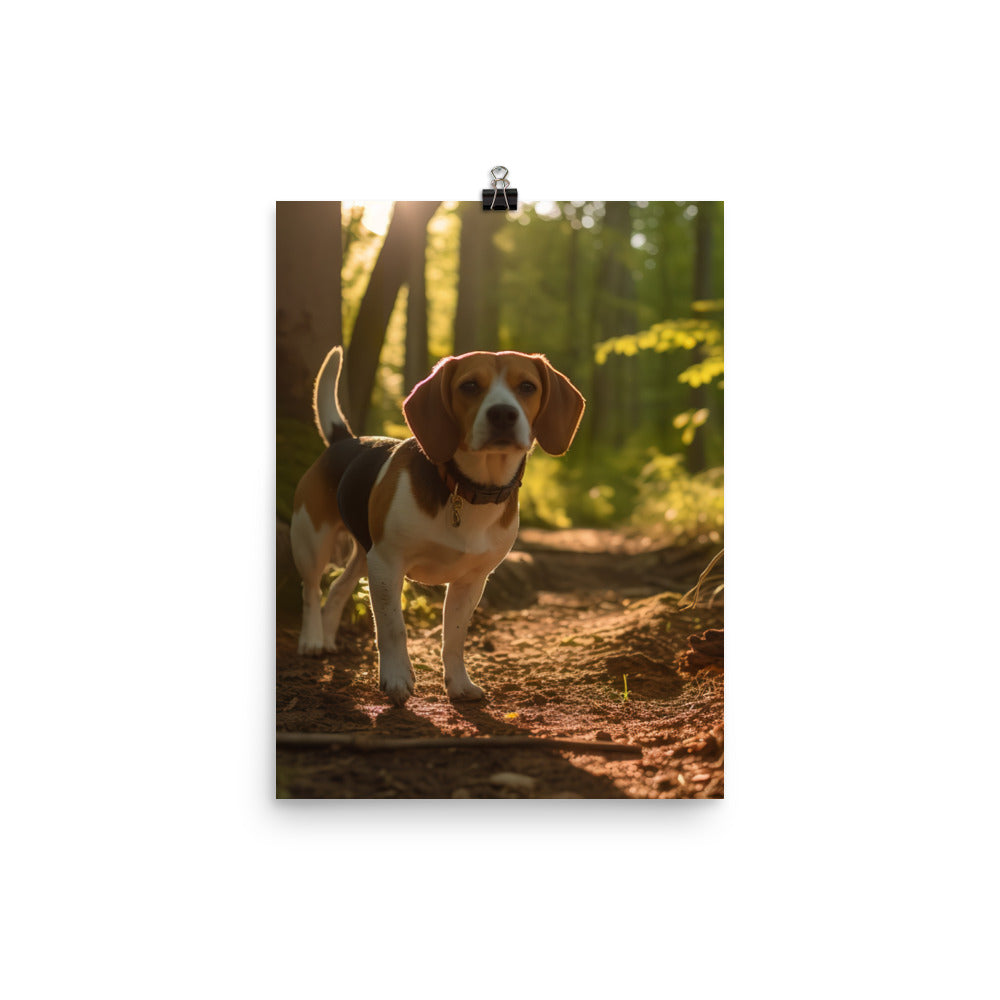 Beagle on the scent Photo paper poster - PosterfyAI.com