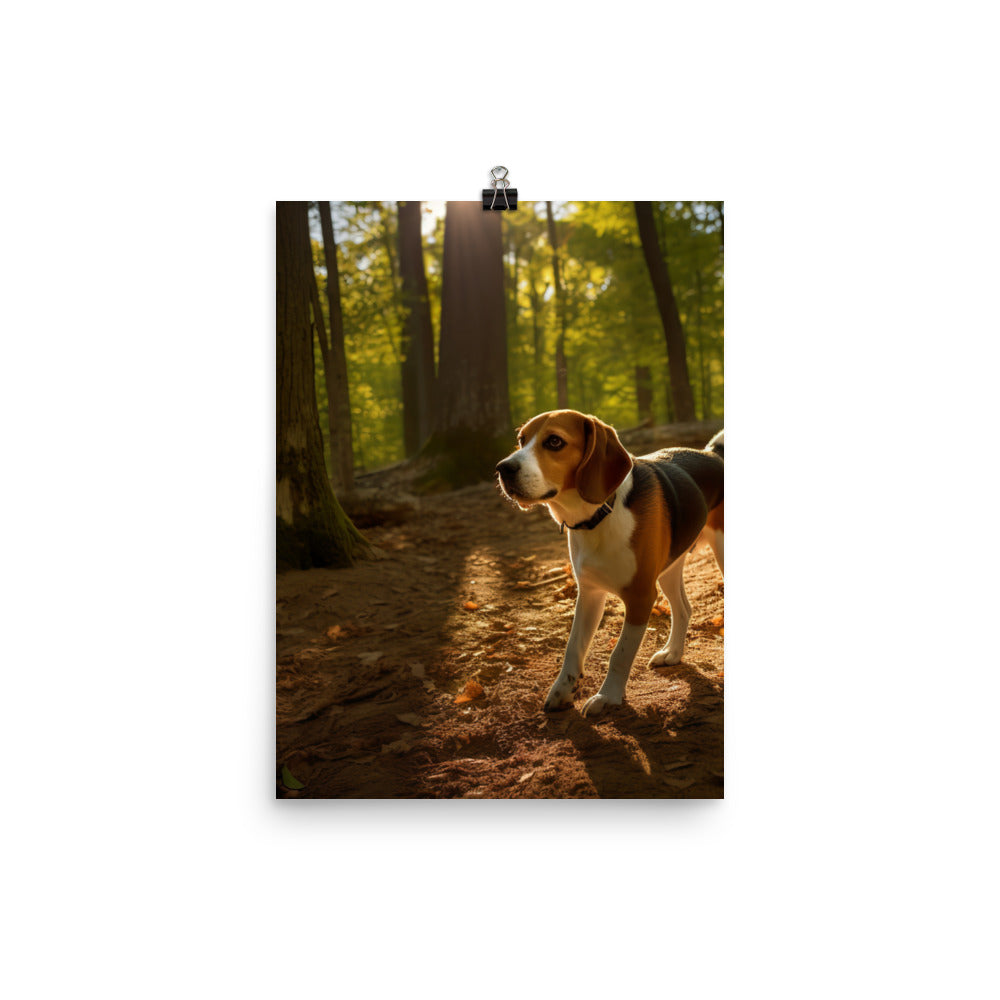 Beagle on the scent Photo paper poster - PosterfyAI.com
