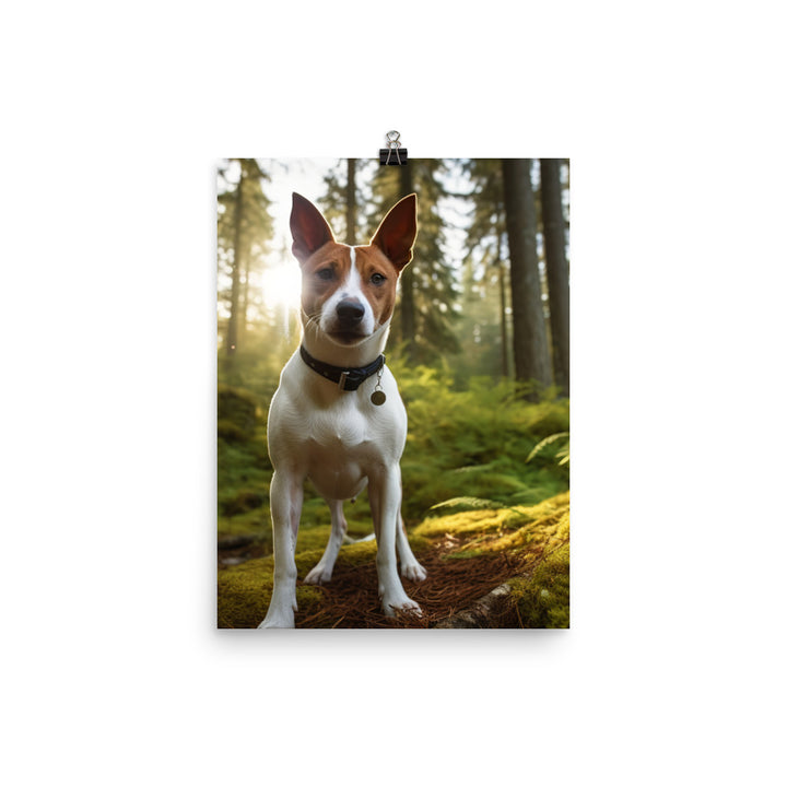 Basenji in Nature Photo paper poster - PosterfyAI.com