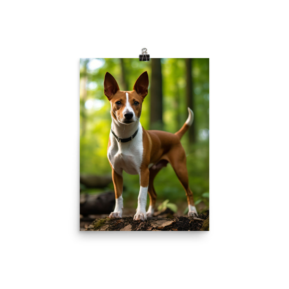 Basenji in Nature Photo paper poster - PosterfyAI.com