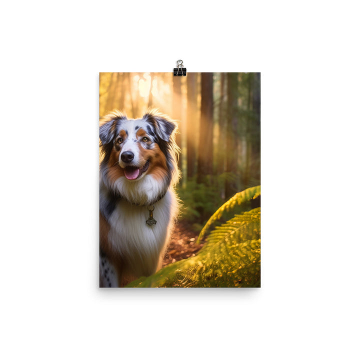 Australian Shepherd as it hikes Photo paper poster - PosterfyAI.com