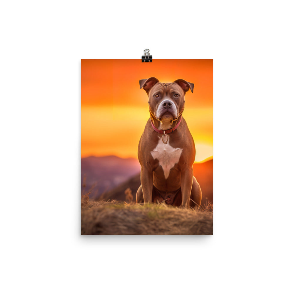 American Staffordshire Terrier at Sunset Photo paper poster - PosterfyAI.com