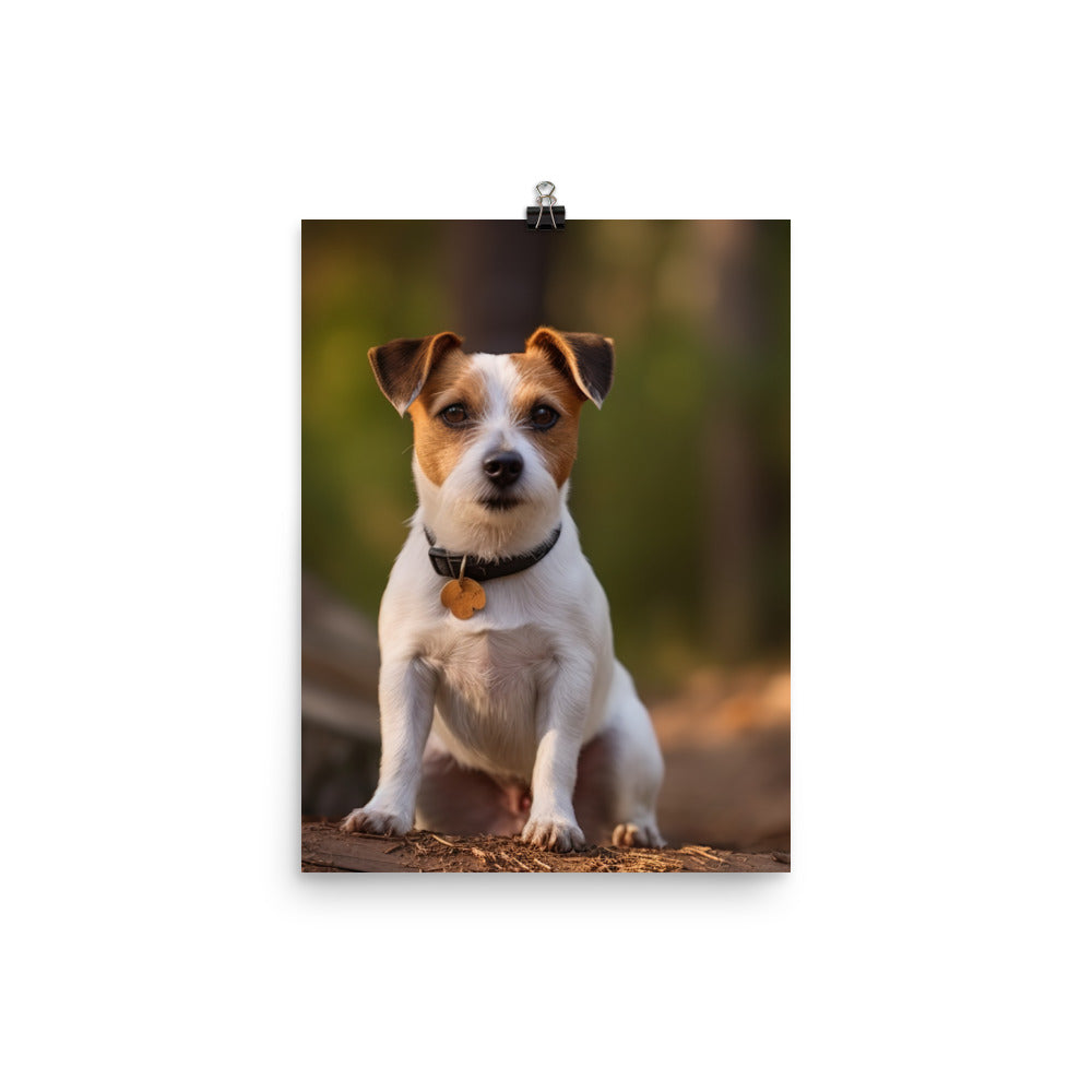 Adorable Jack Russell Terrier Posing for Camera Photo paper poster - PosterfyAI.com