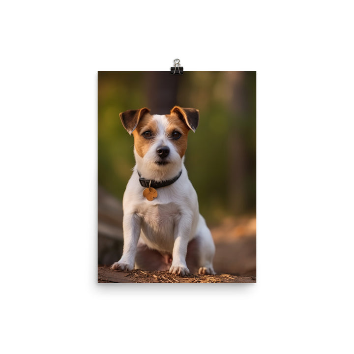 Adorable Jack Russell Terrier Posing for Camera Photo paper poster - PosterfyAI.com