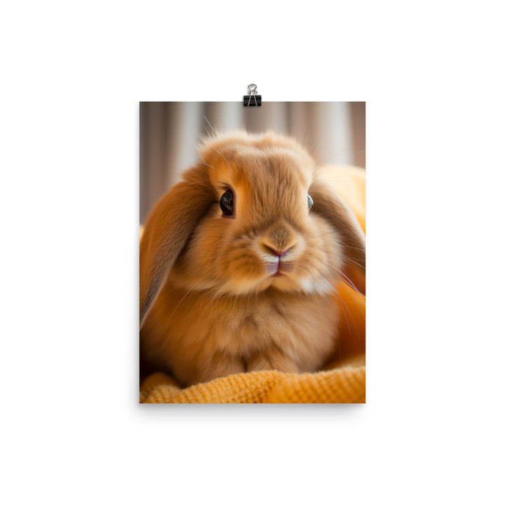 American Fuzzy Lop Photo paper poster - PosterfyAI.com