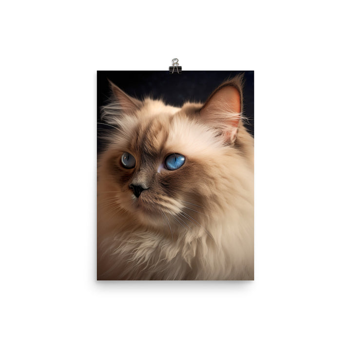 Beauty of Himalayan Cat Photo paper poster - PosterfyAI.com
