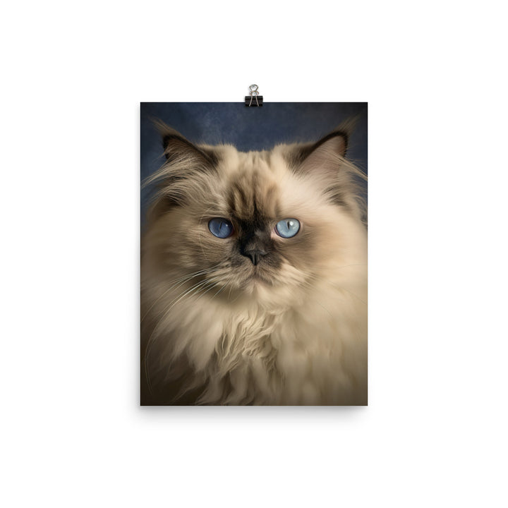 Beauty of Himalayan Cat Photo paper poster - PosterfyAI.com