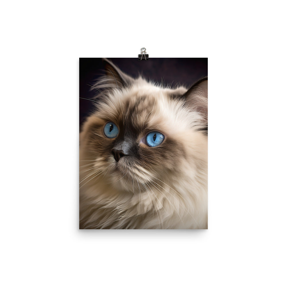 Beauty of Himalayan Cat Photo paper poster - PosterfyAI.com
