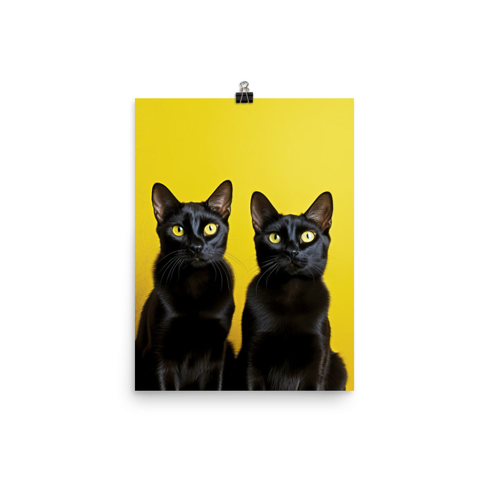 Striking Contrast of Bombay Cat Photo paper poster - PosterfyAI.com