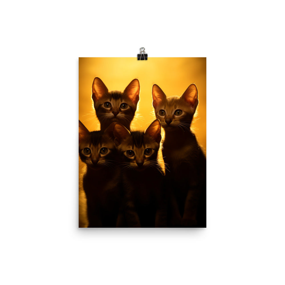 Bombay Kittens Photo paper poster - PosterfyAI.com