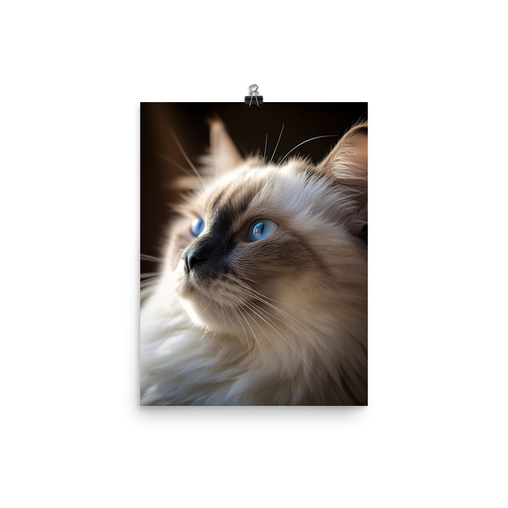 Birman Cat Photo paper poster - PosterfyAI.com