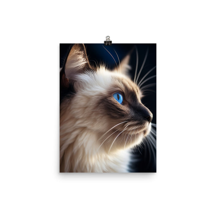 Birman Cat Photo paper poster - PosterfyAI.com