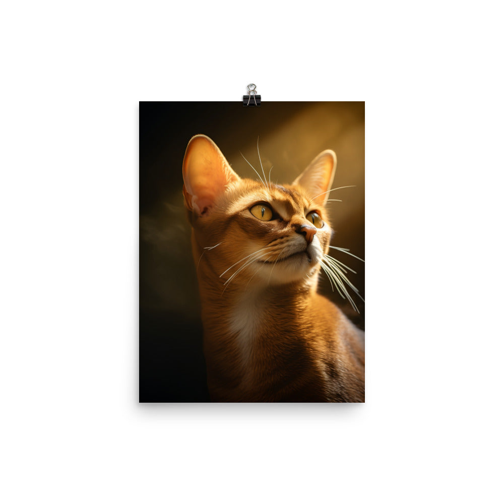 Abyssinian Cat Photo paper poster - PosterfyAI.com