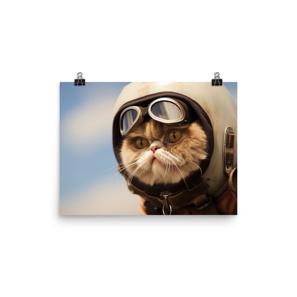 Exotic Shorthair Pilot Photo paper poster - PosterfyAI.com