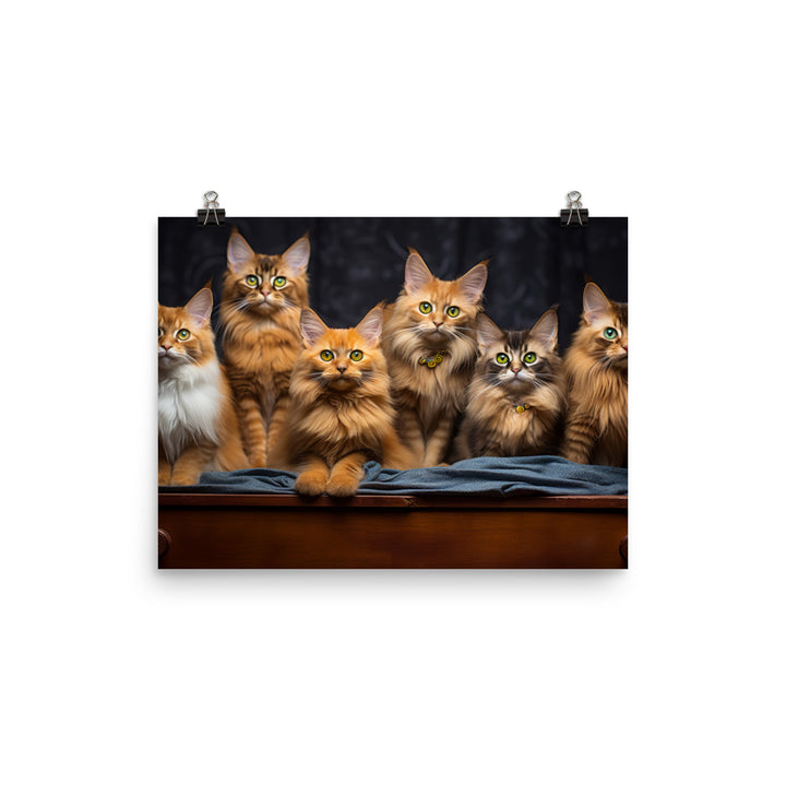 Somali Photo paper poster - PosterfyAI.com