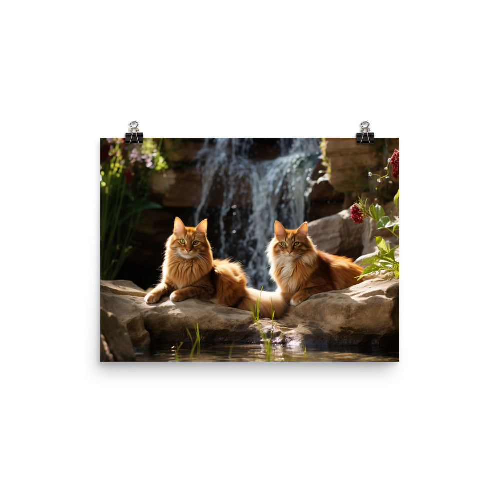 Somali Photo paper poster - PosterfyAI.com