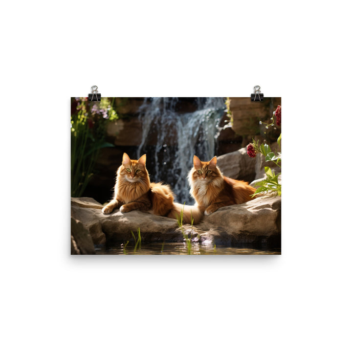 Somali Photo paper poster - PosterfyAI.com