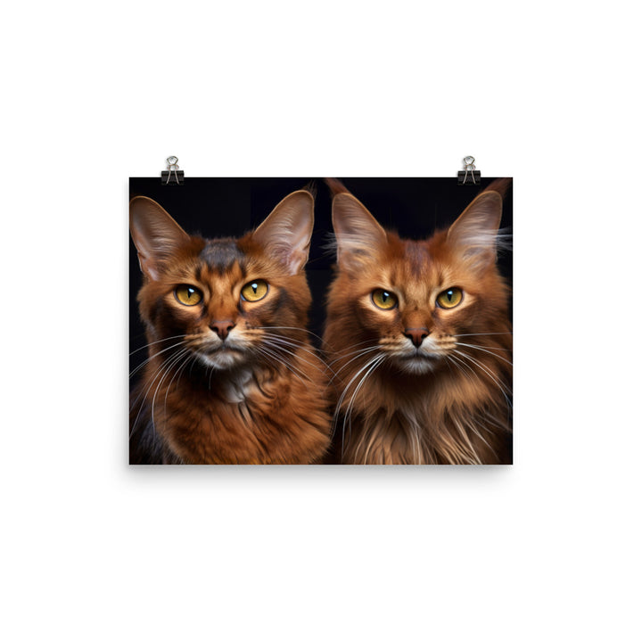 Somali Photo paper poster - PosterfyAI.com