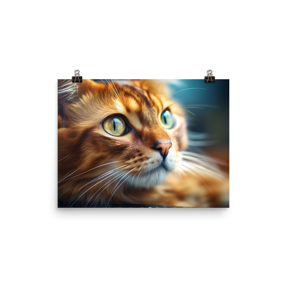 Somali Photo paper poster - PosterfyAI.com