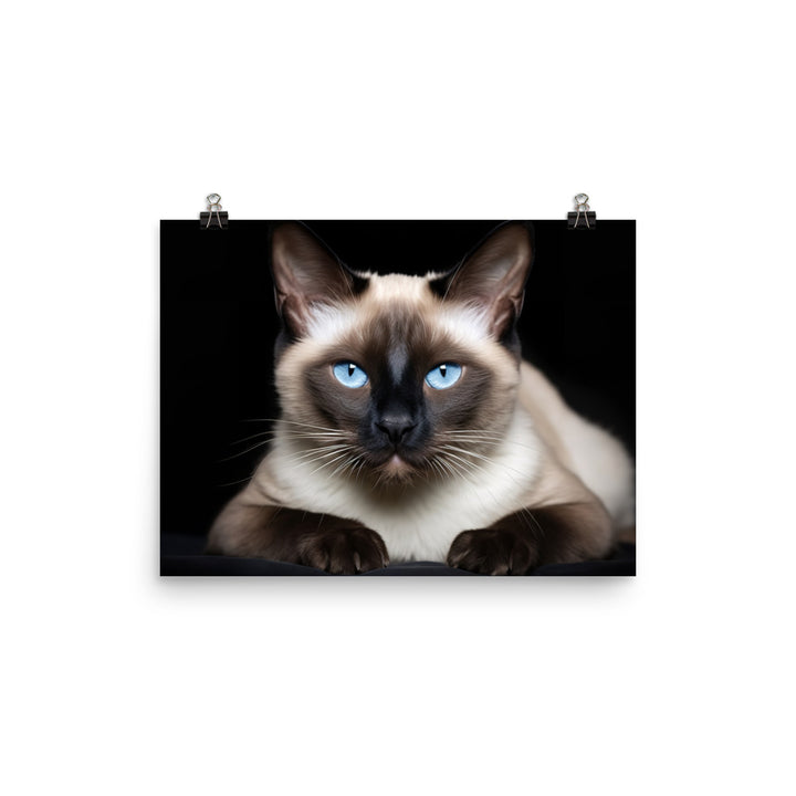 Siamese Photo paper poster - PosterfyAI.com