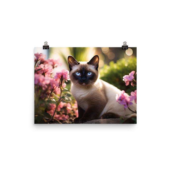 Siamese Photo paper poster - PosterfyAI.com