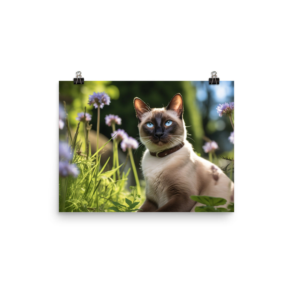 Siamese Photo paper poster - PosterfyAI.com