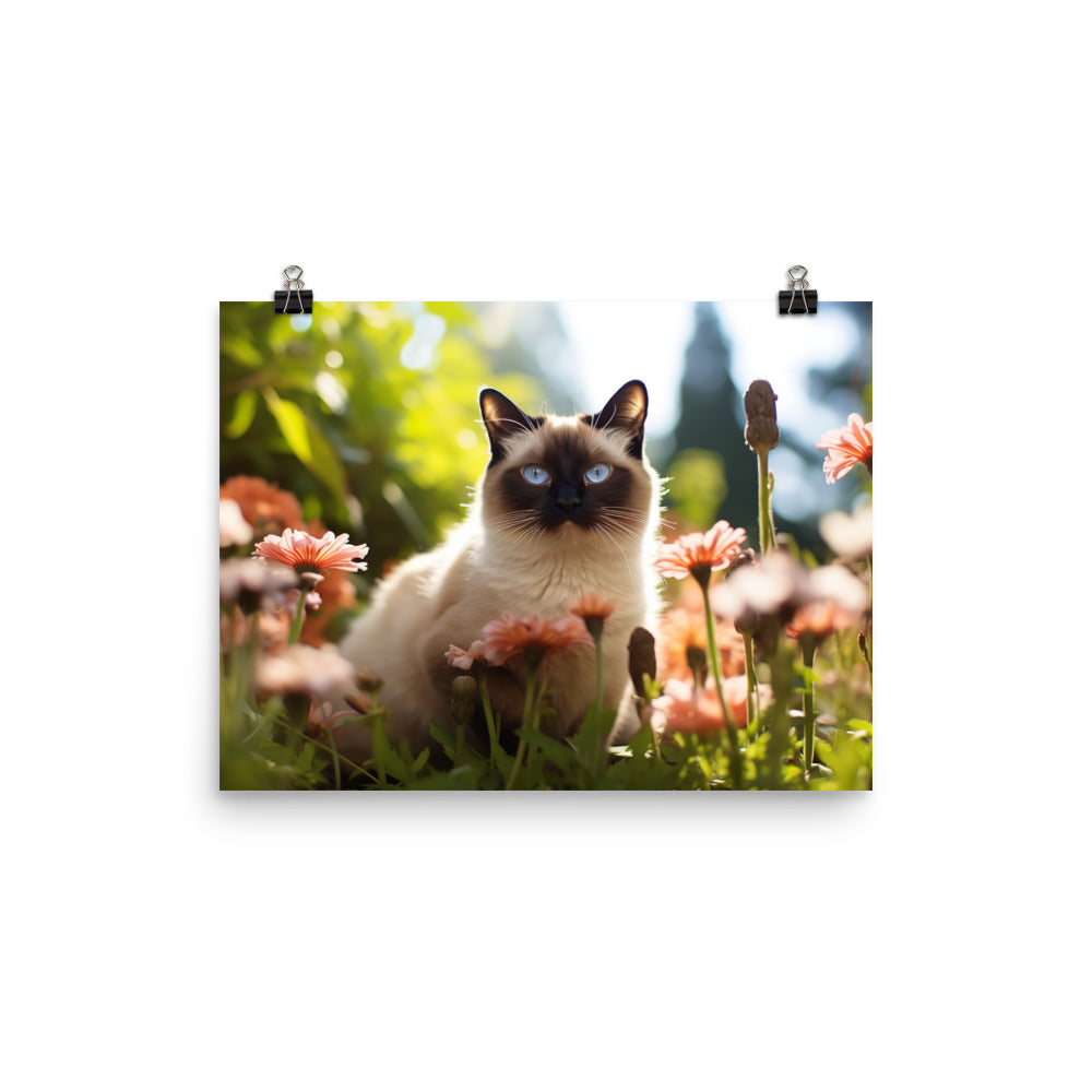 Siamese Photo paper poster - PosterfyAI.com