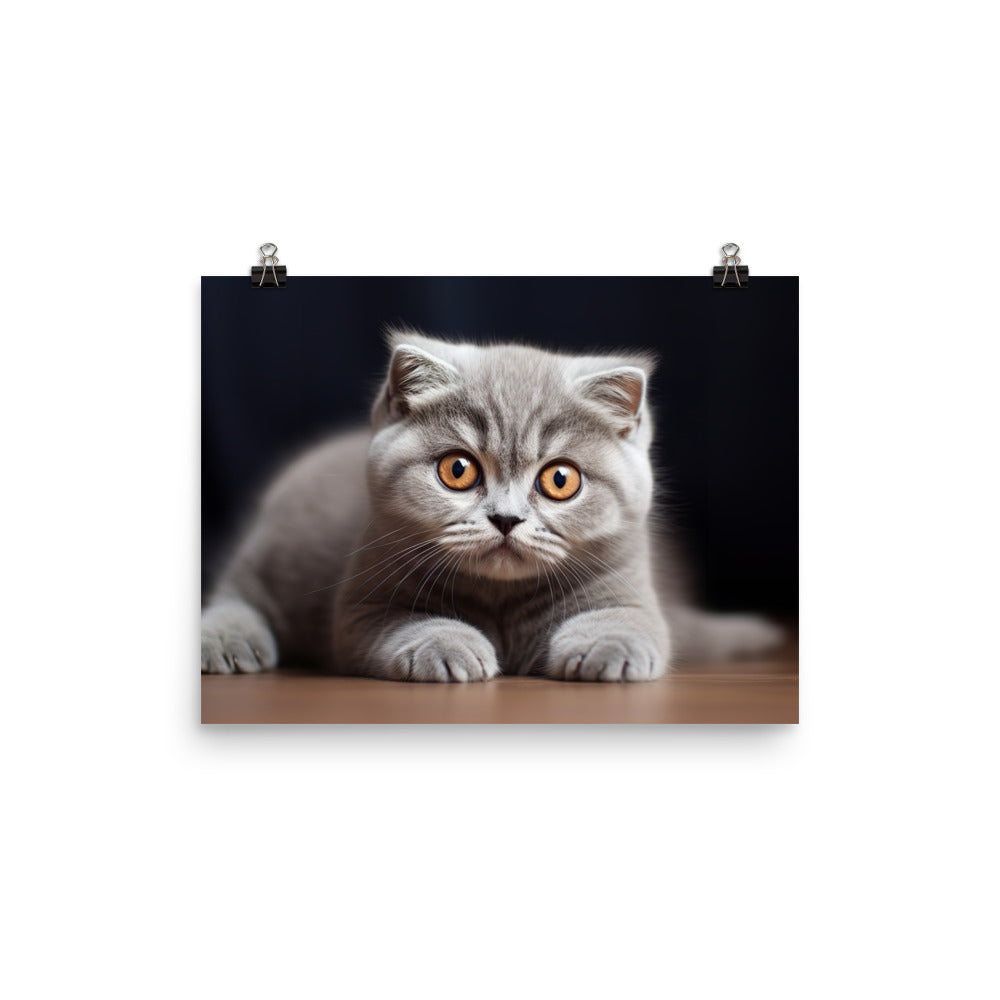 Scottish Fold Photo paper poster - PosterfyAI.com