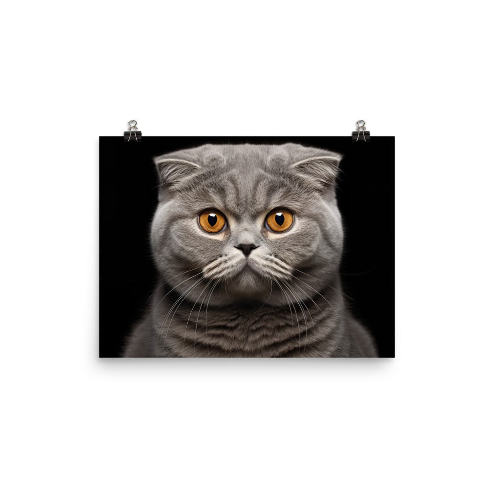 Scottish Fold Photo paper poster - PosterfyAI.com