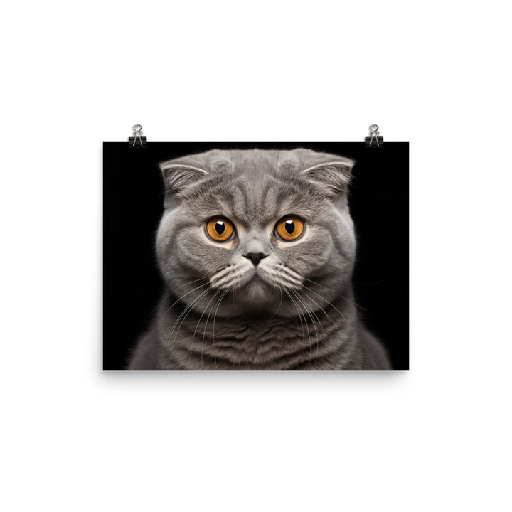 Scottish Fold Photo paper poster - PosterfyAI.com