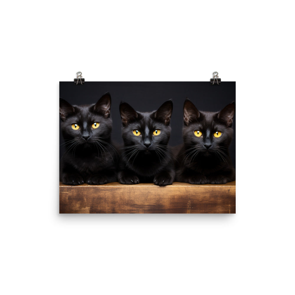 Bombay Photo paper poster - PosterfyAI.com