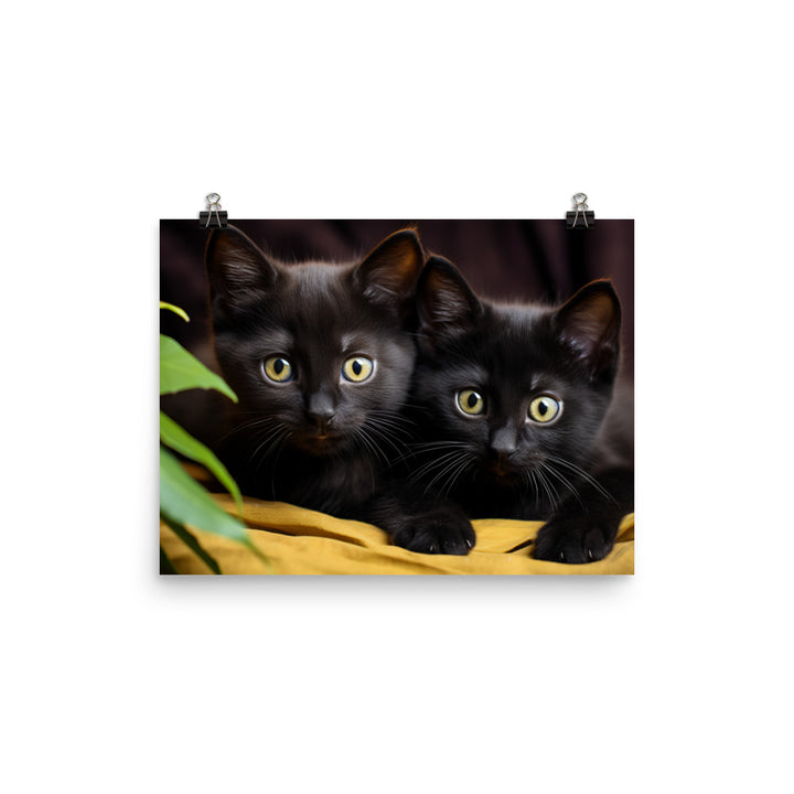 Bombay Photo paper poster - PosterfyAI.com