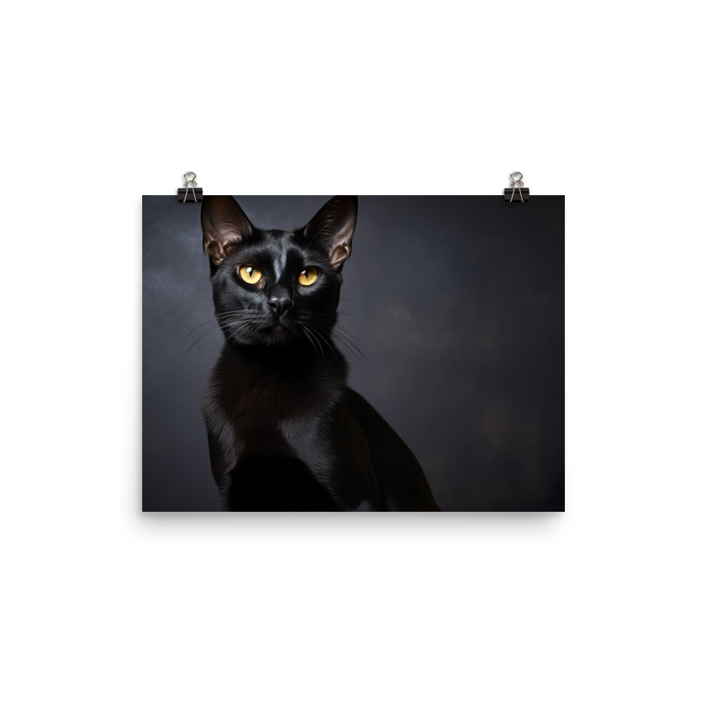 Bombay Photo paper poster - PosterfyAI.com