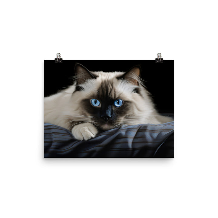 Birman Photo paper poster - PosterfyAI.com