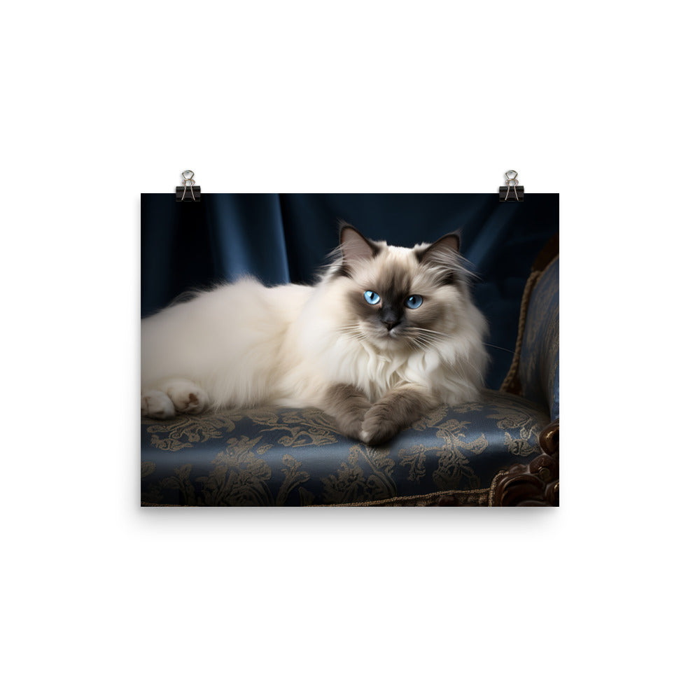 Birman Photo paper poster - PosterfyAI.com