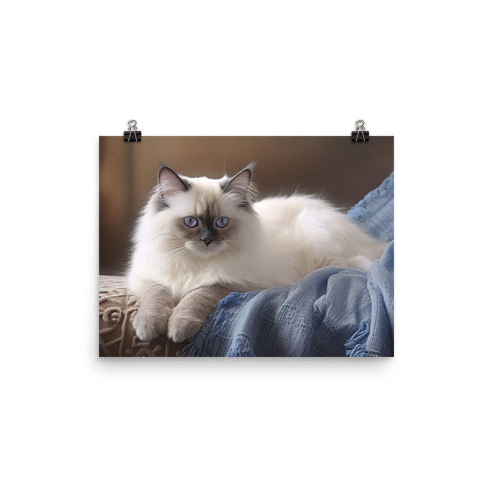 Birman Photo paper poster - PosterfyAI.com