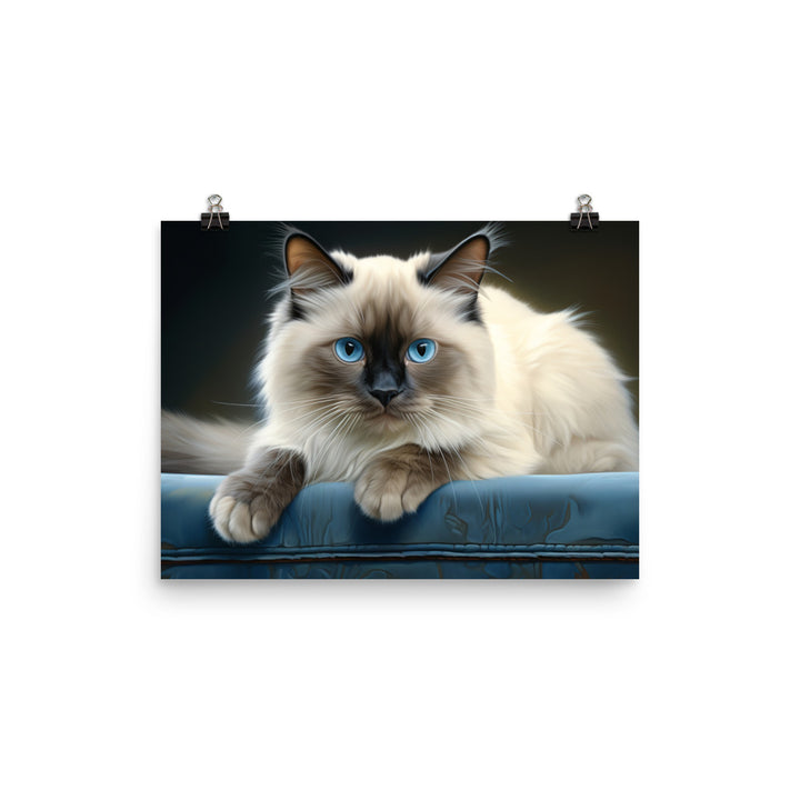 Birman Photo paper poster - PosterfyAI.com