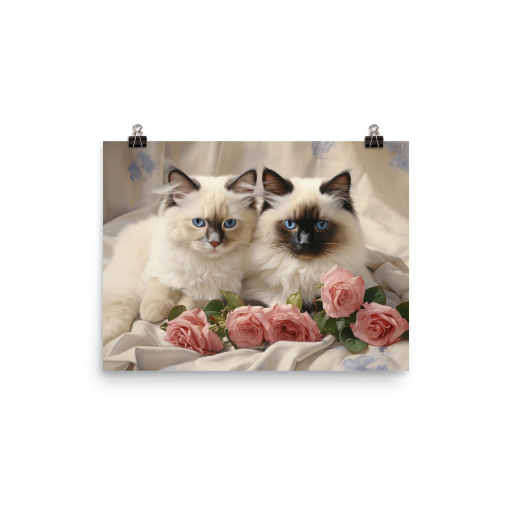 Birman Photo paper poster - PosterfyAI.com