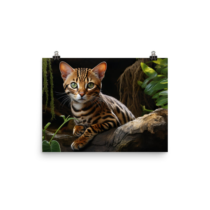 Bengal Photo paper poster - PosterfyAI.com