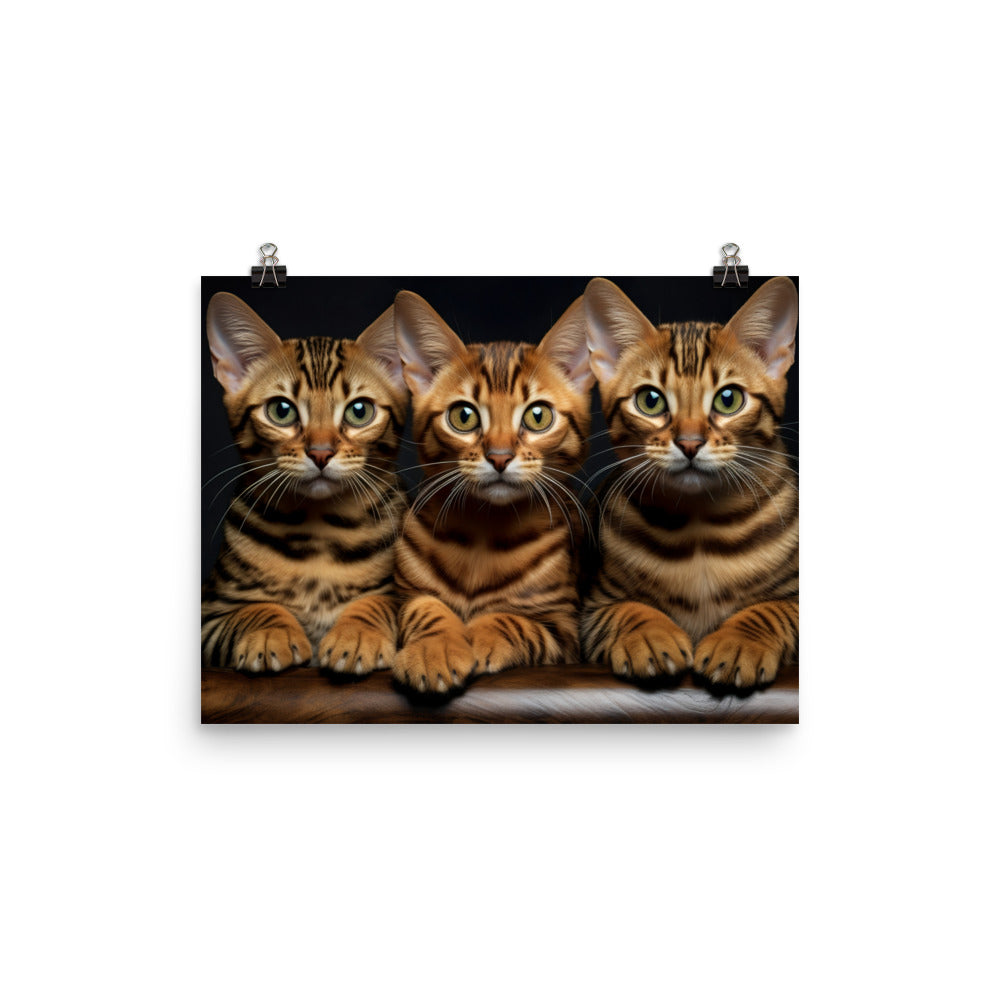 Bengal Photo paper poster - PosterfyAI.com