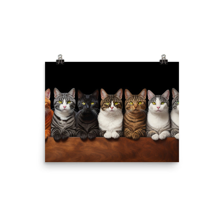 American Shorthair Photo paper poster - PosterfyAI.com