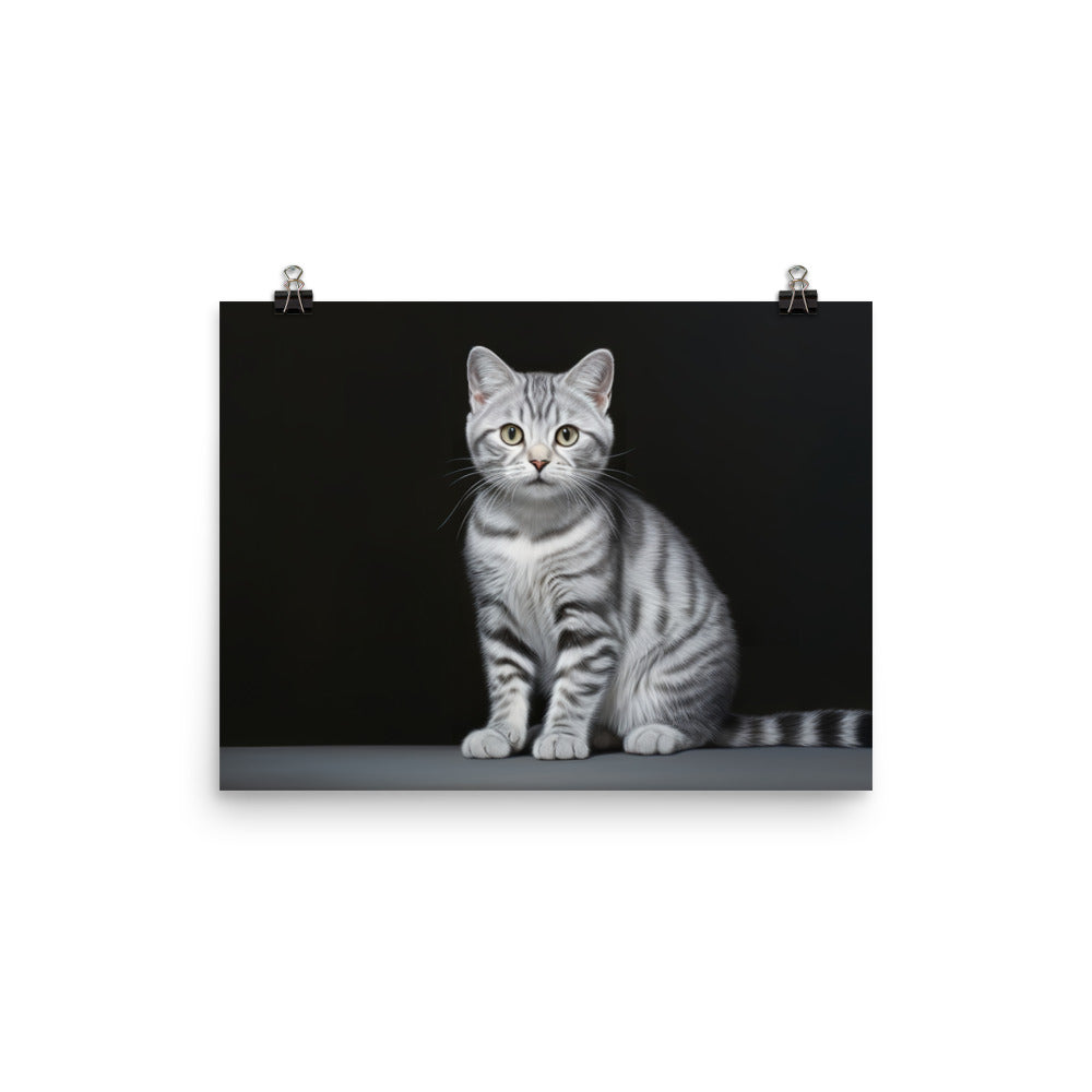 American Shorthair Photo paper poster - PosterfyAI.com