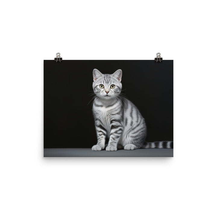 American Shorthair Photo paper poster - PosterfyAI.com