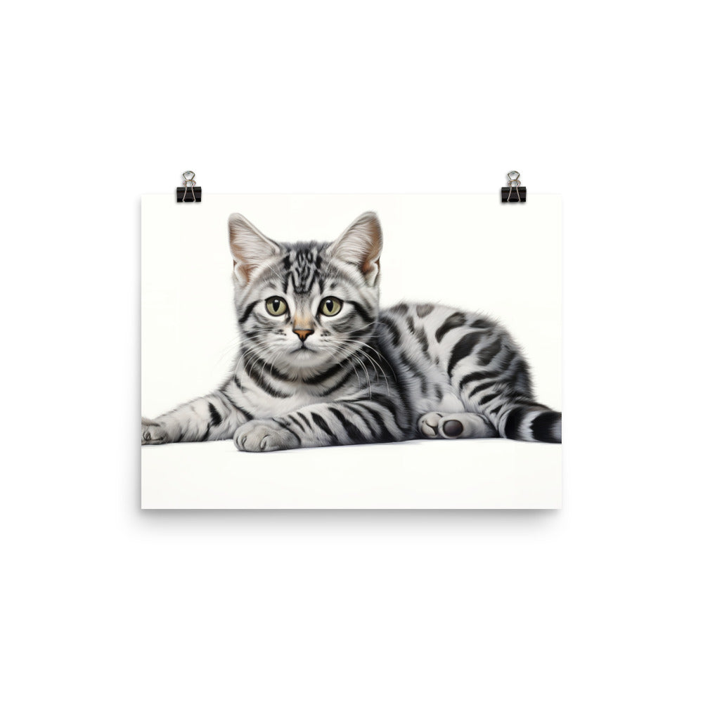 American Shorthair Photo paper poster - PosterfyAI.com