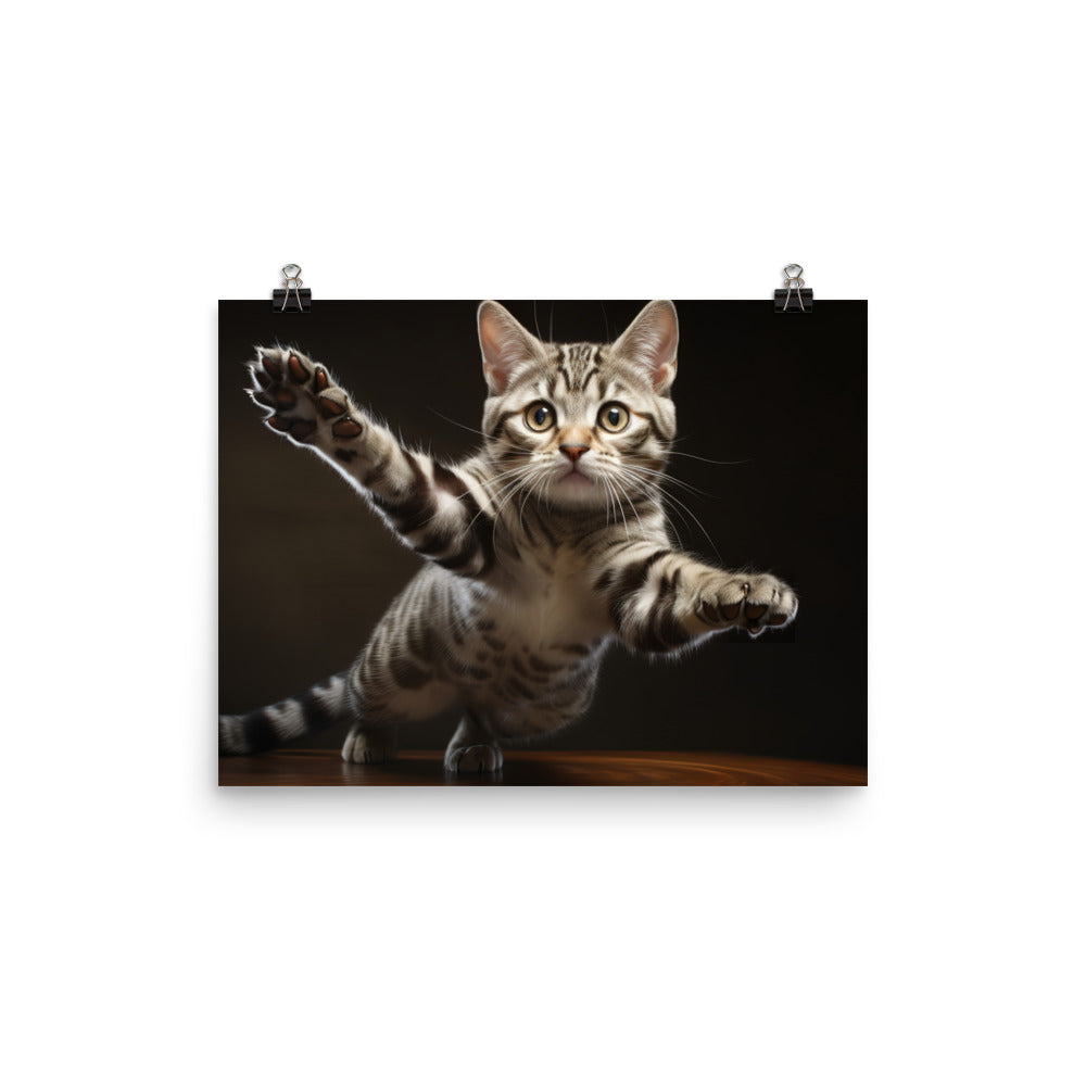 American Shorthair Photo paper poster - PosterfyAI.com