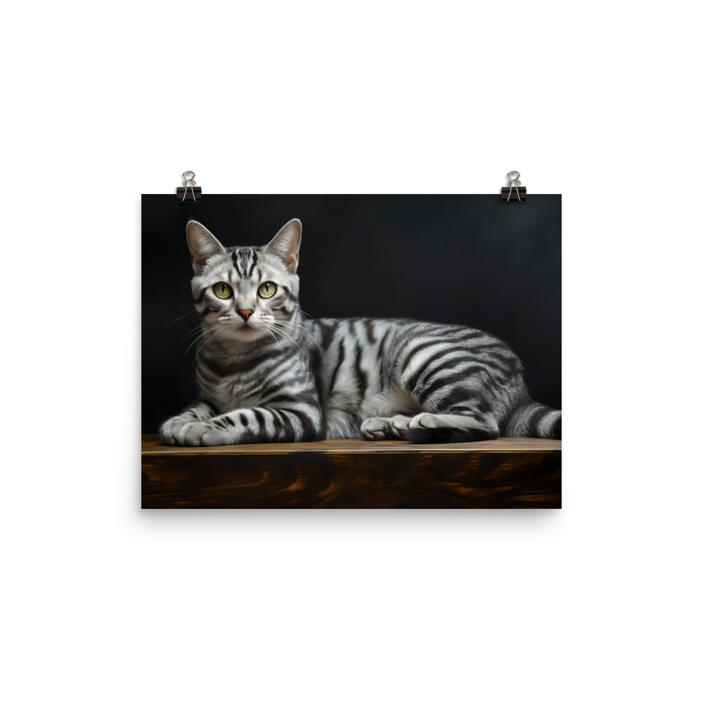 American Shorthair Photo paper poster - PosterfyAI.com