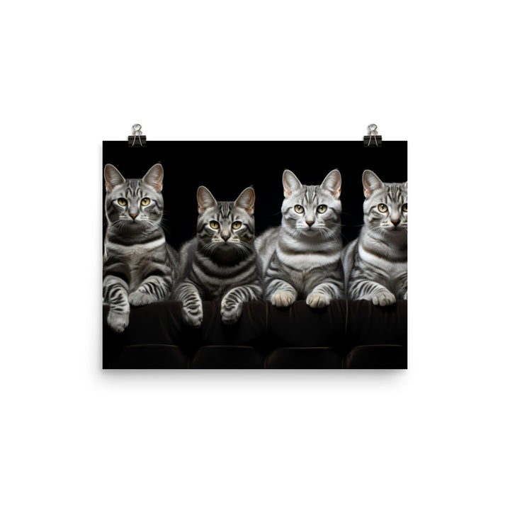 American Shorthair Photo paper poster - PosterfyAI.com