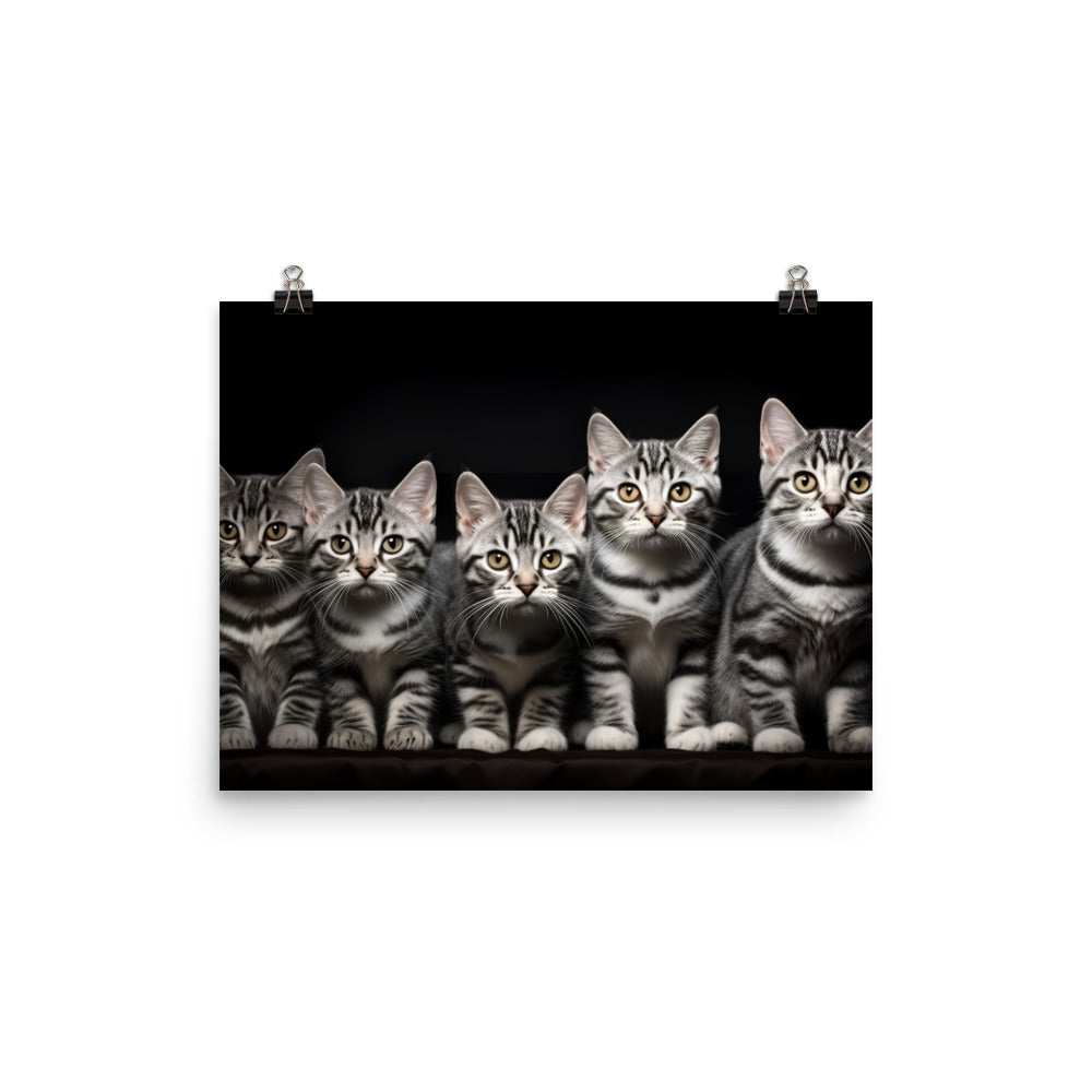 American Shorthair Photo paper poster - PosterfyAI.com