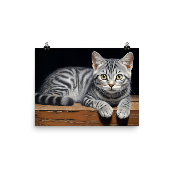 American Shorthair Photo paper poster - PosterfyAI.com